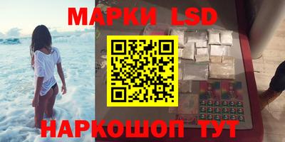 индика Бердск