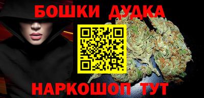индика Бердск